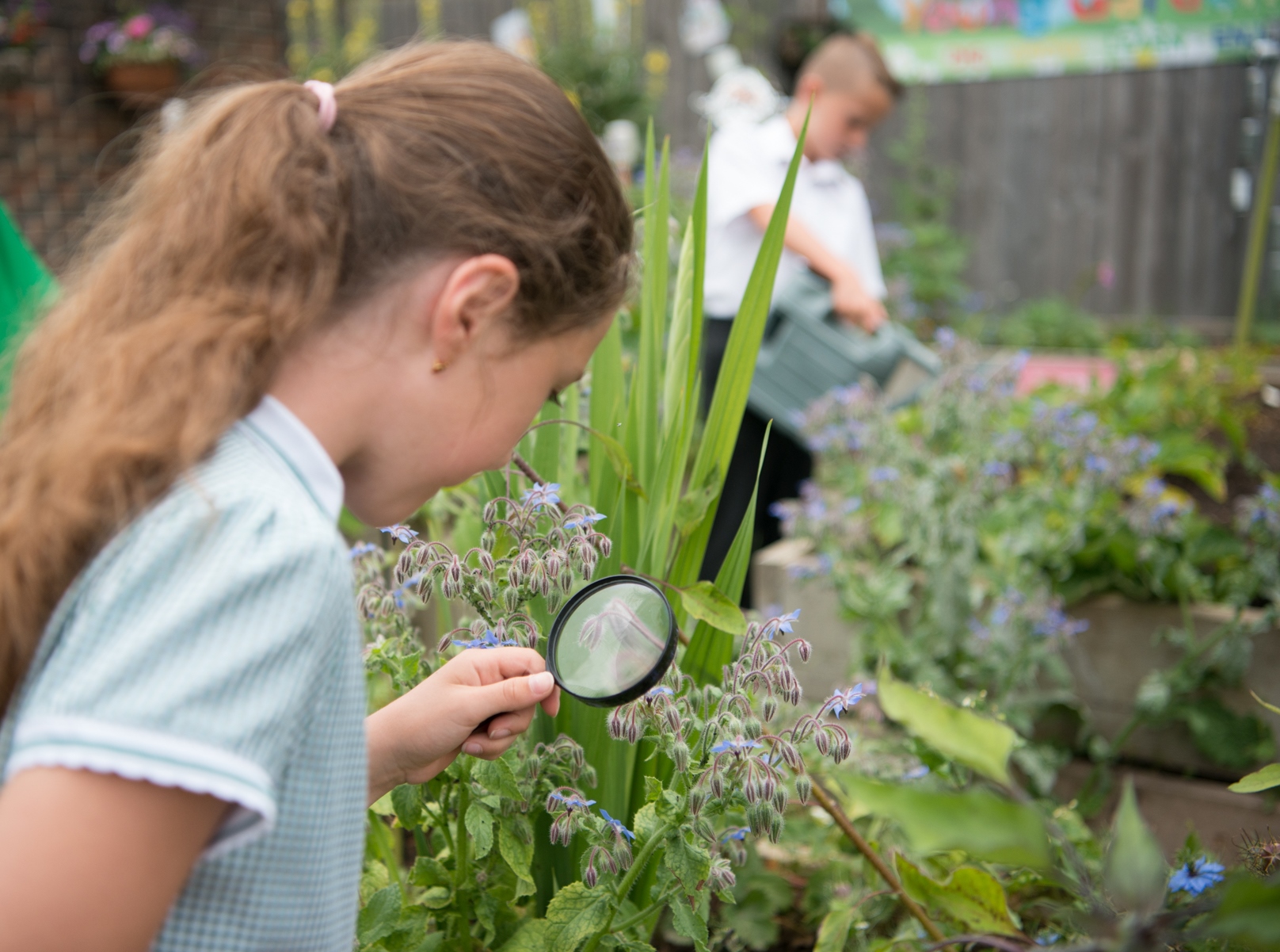 Court Lane Junior School Home